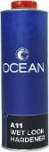 Ocean A11 Acrylic Enamel Wet Look Hardener - Jerzyautopaint.com