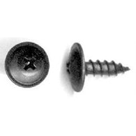 NISSAN & FORD WINDSTAR '95/ FOREIGN #10 BLACK SCREW (50) - Jerzyautopaint.com
